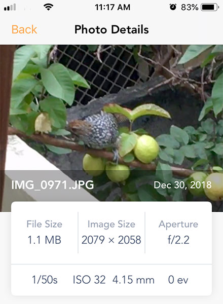 EXIF Metadata App