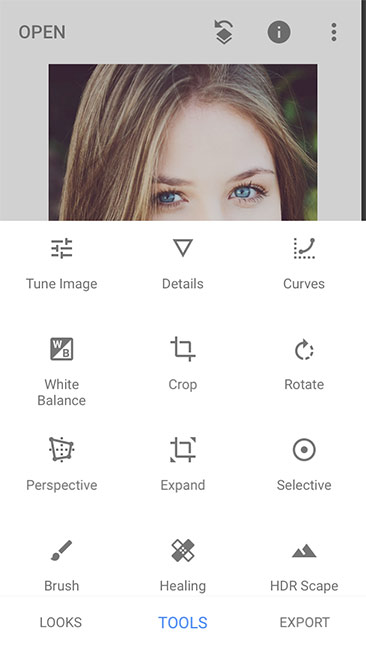 Snapseed App Editing Options